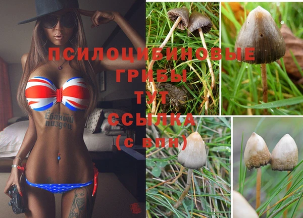 первитин Бронницы